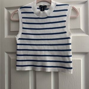 Sincerely Jules Navy and White Striped Tank Top